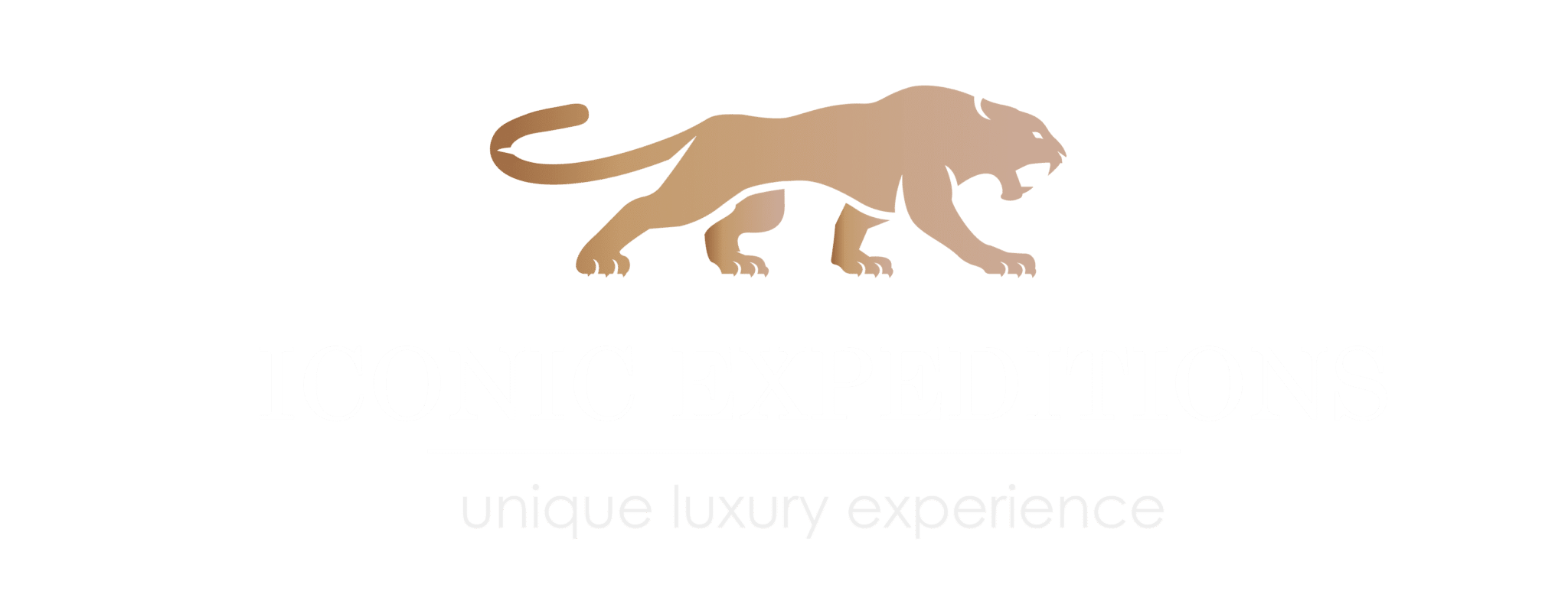 Iconic Expeditions