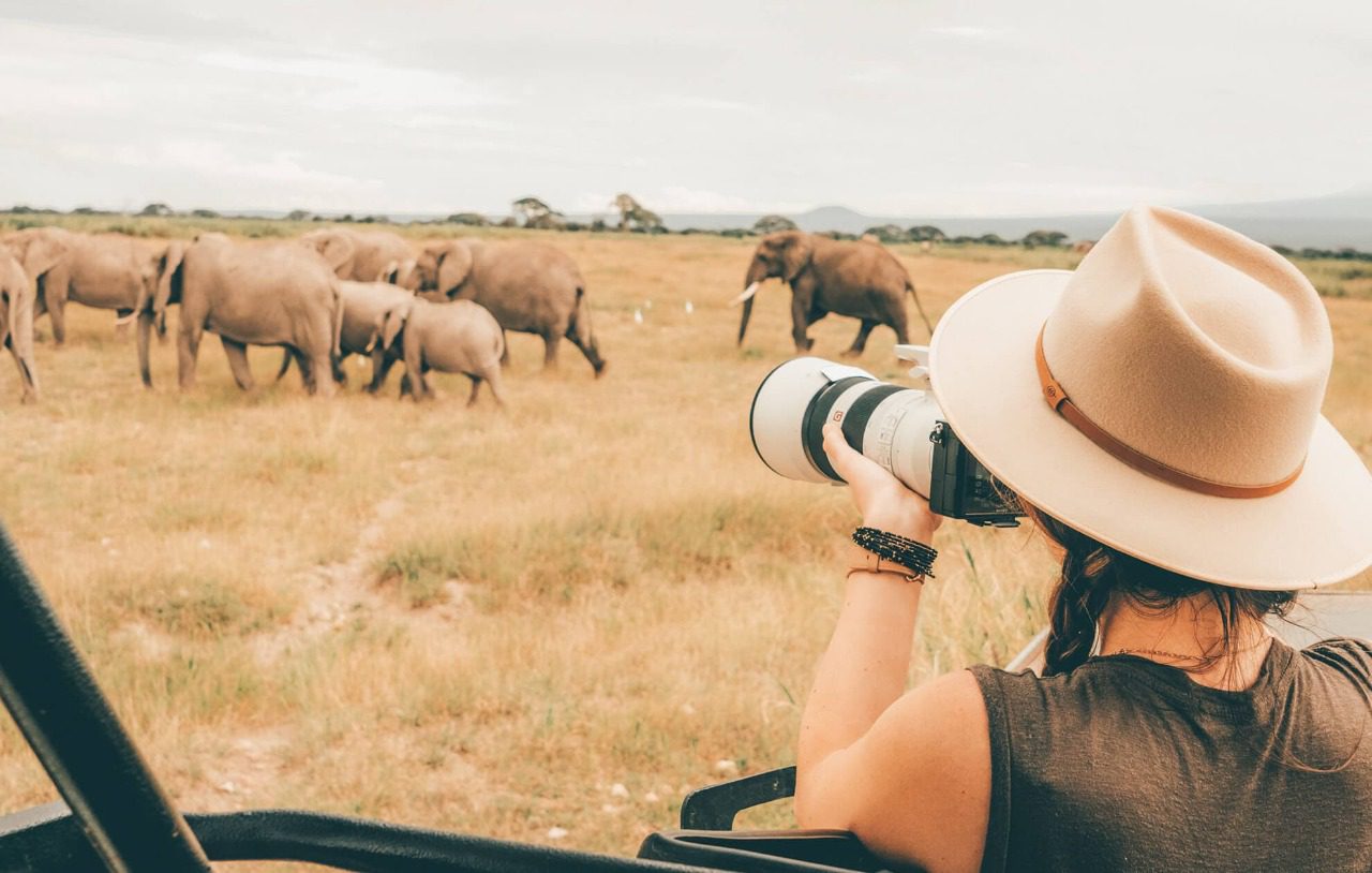 items-to-bring-on-a-safari-iconic-expeditions