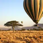 3-Day Fly-in Serengeti