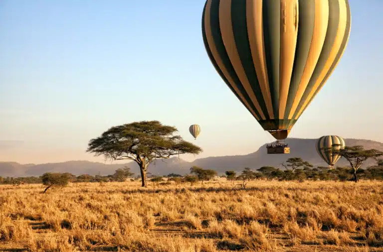 3-Day Fly-in Serengeti