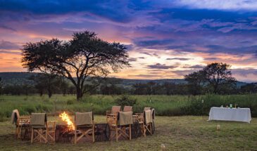 5-Day Tanzania