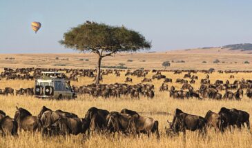 2-Day safari