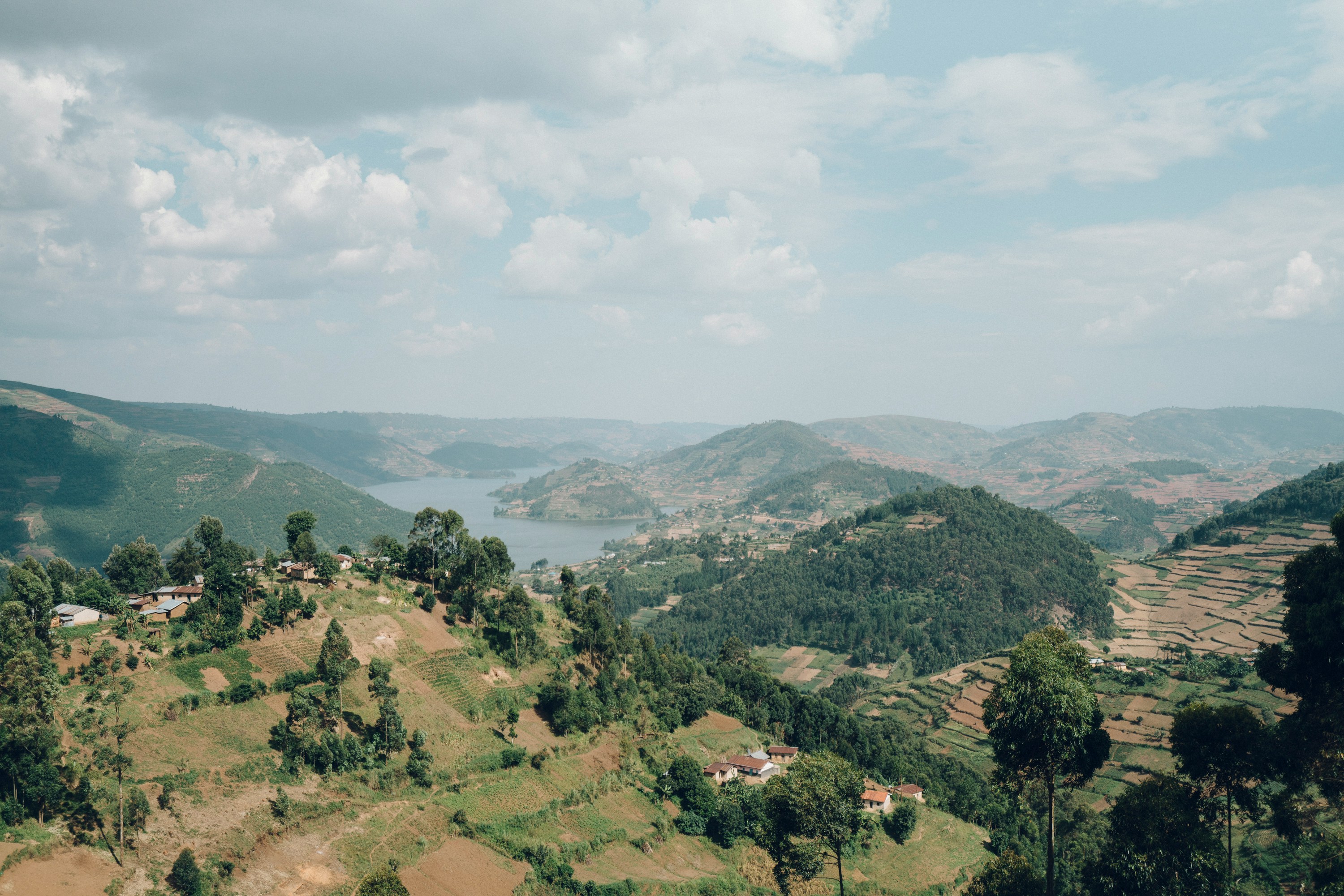 Uganda Gorilla Trekking