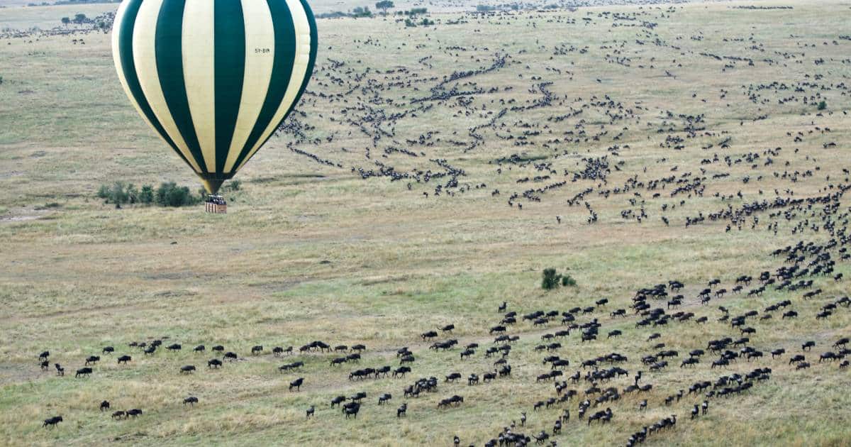 Serengeti Hot-Air Balloon: Most Unusual Safari Experience