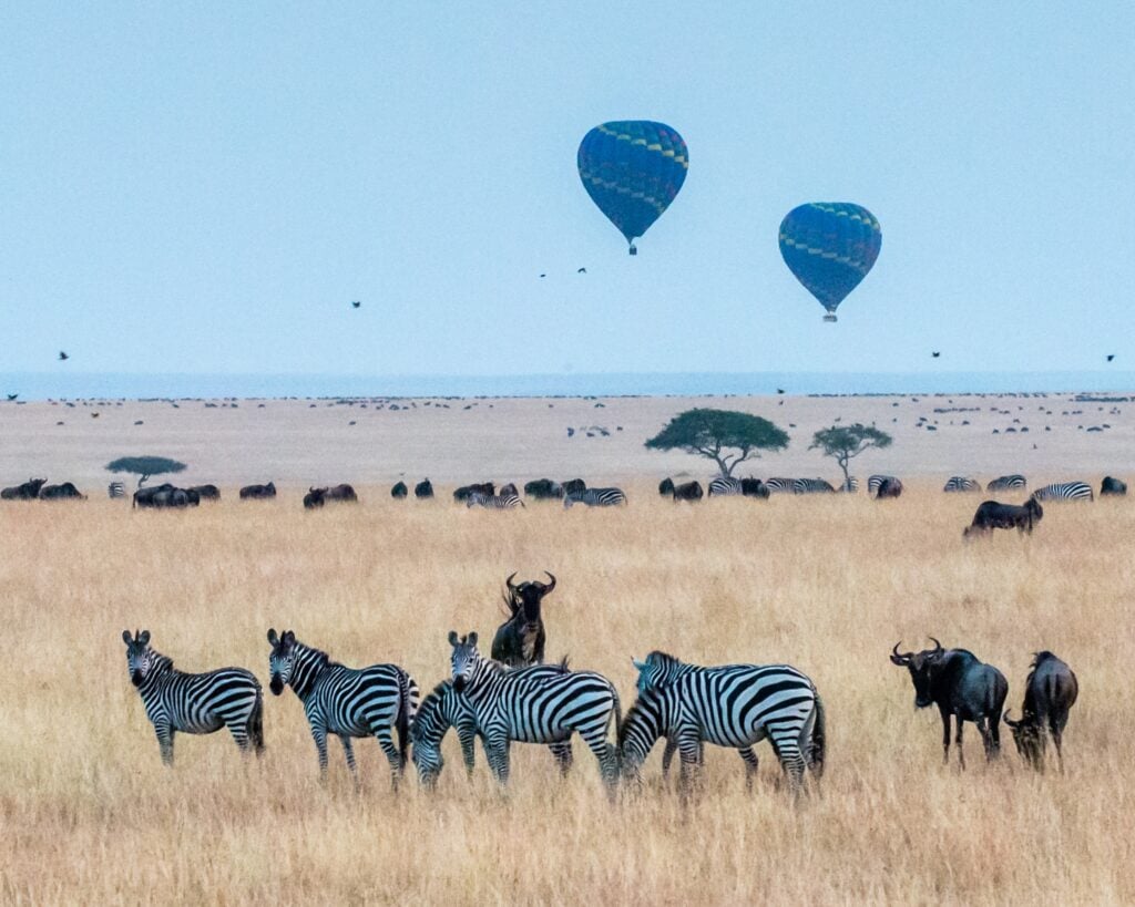 13-Day Magical Africa