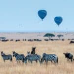 13-Day Magical Africa