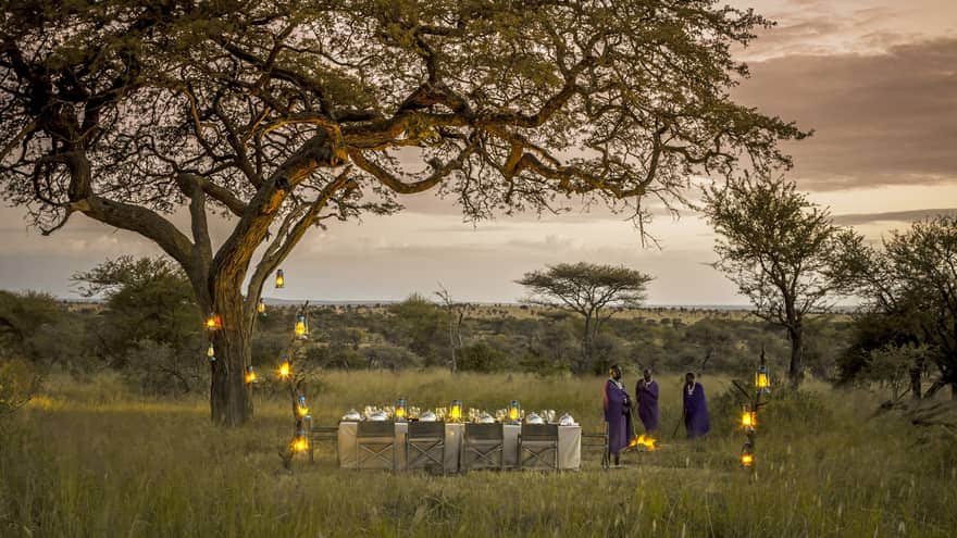 Wedding in Serengeti