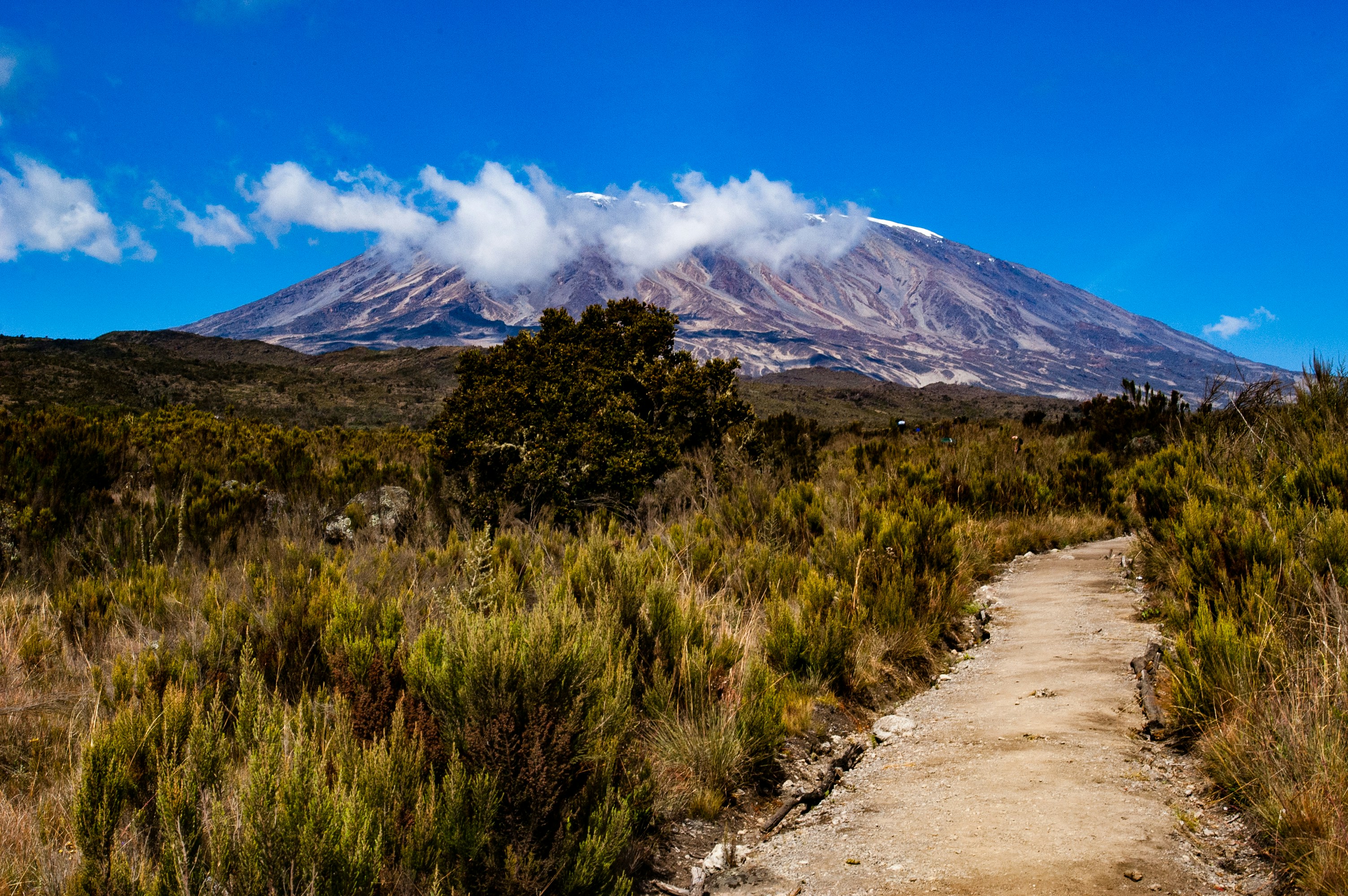 Kilimanjaro Climbing