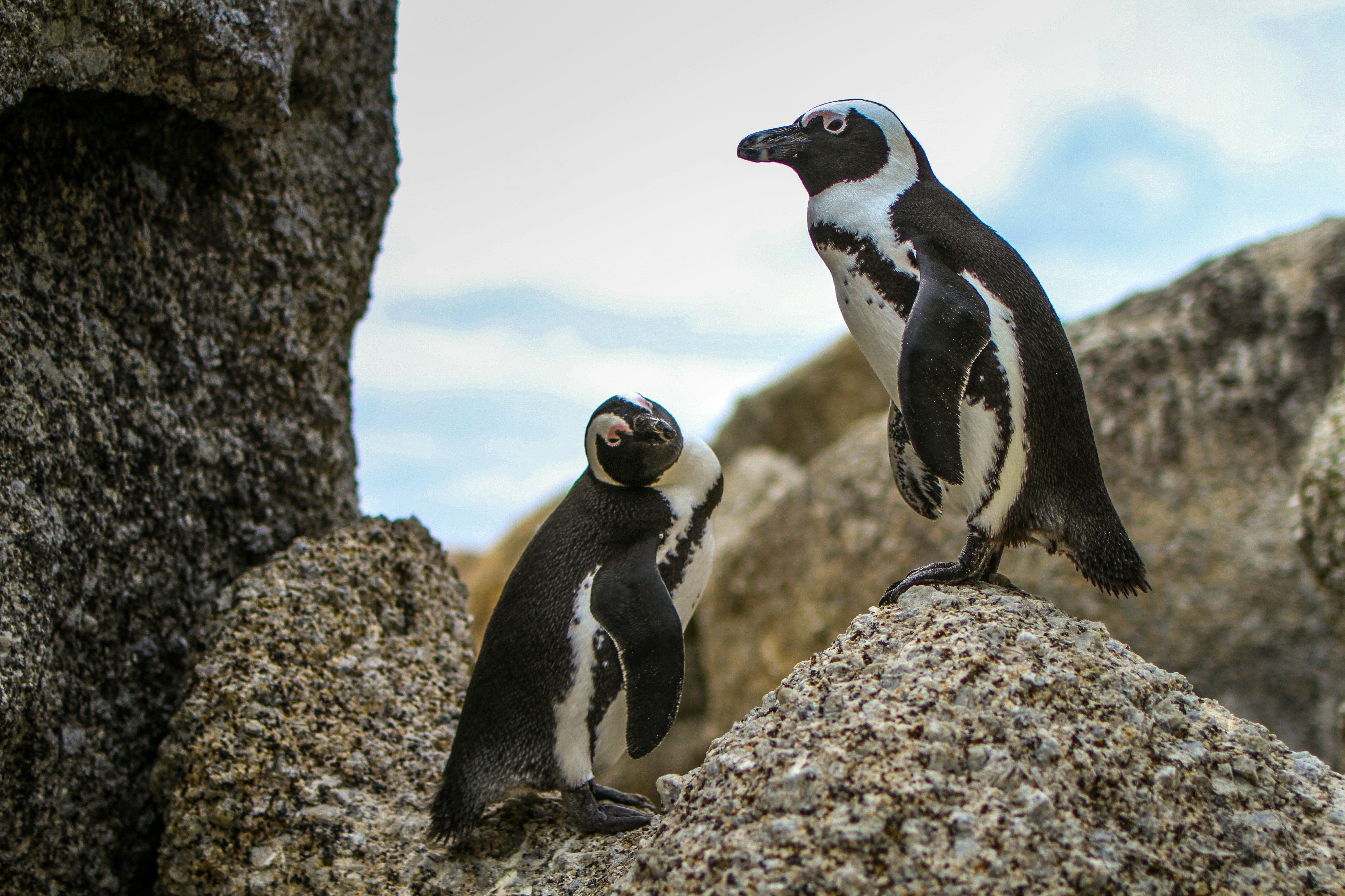 Antarctica adventure tour