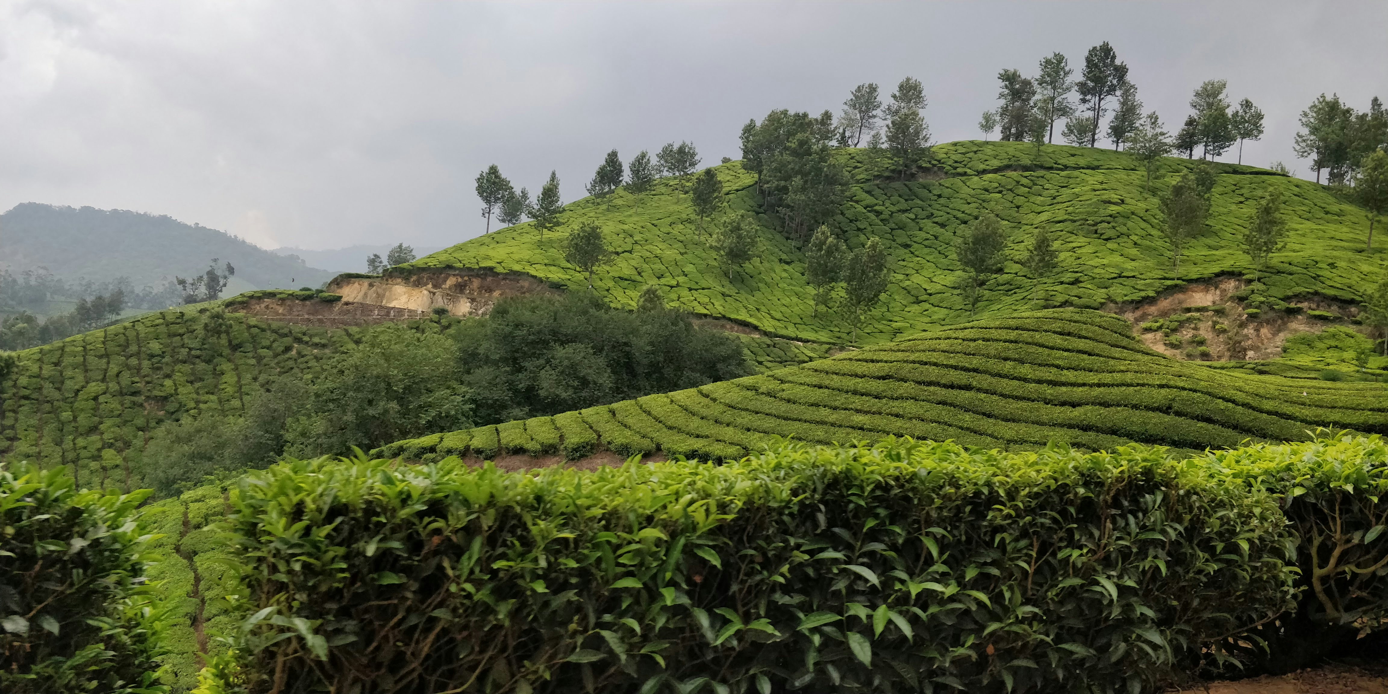 10 Fascinating Facts About Rwanda You Didn’t Know
