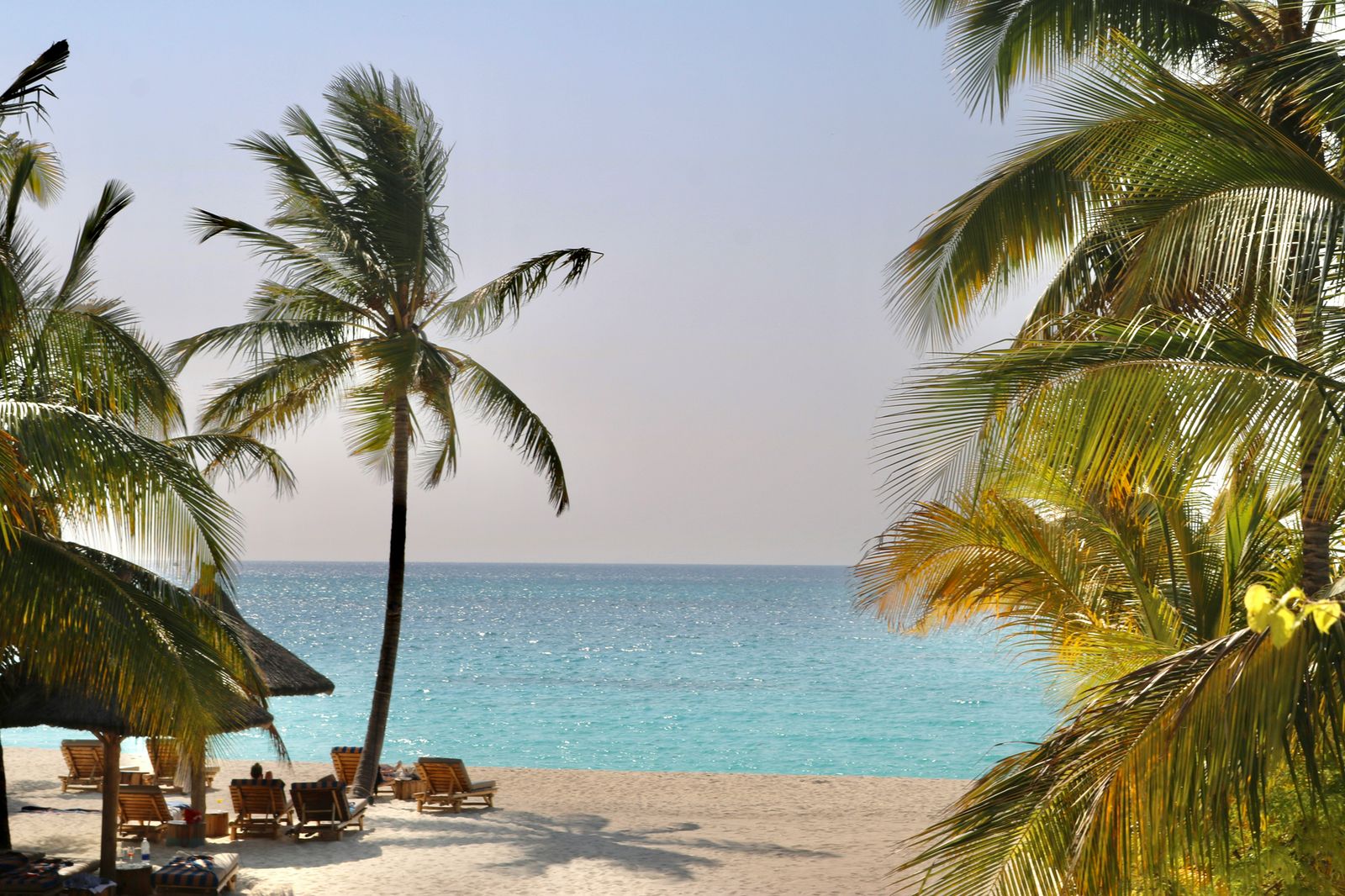 Palm trees, loungers and a turquoise sea on a white-sand tropical beach